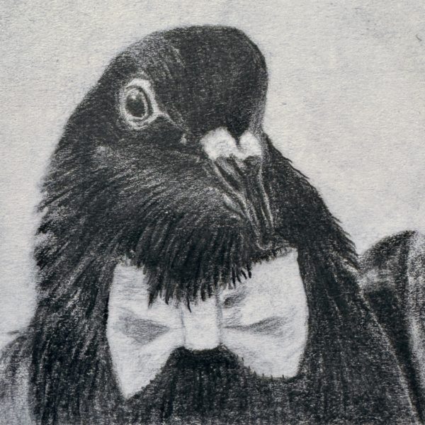 A portrait of rescued feral pigeon Lucito drawn in pencil on a post-it note