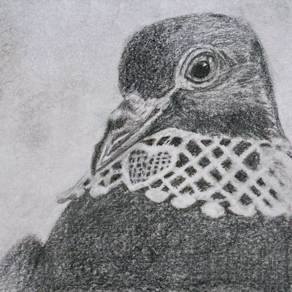 A portrait of rescued domestic pigeon Ruth Bader Ginsbird drawn in pencil on a post-it note
