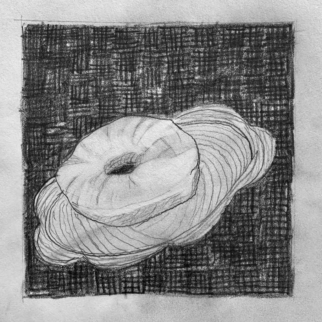 Image of a pencil donut drawing using only three values: dark, middle, and light.
