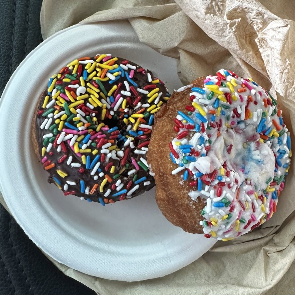 Photograph of two cake donuts with sprinkles