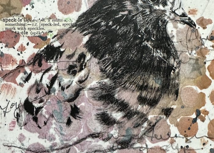 A mixed-media portrait of rescued domestic pigeon Speckle