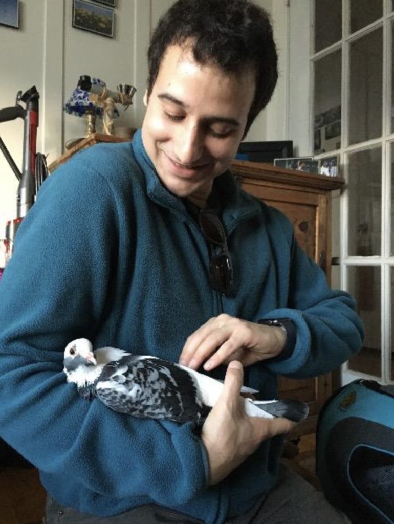 Rescued King pigeon Alfred in the arms of her adopter