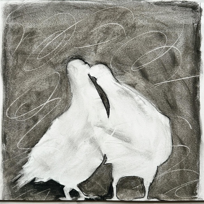 Negative space charcoal portrait of married rescued pigeons Pomelo and Puffles
